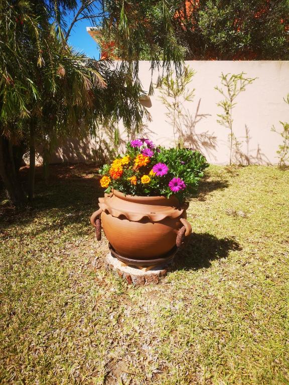 Casa Dos Cedros room 5